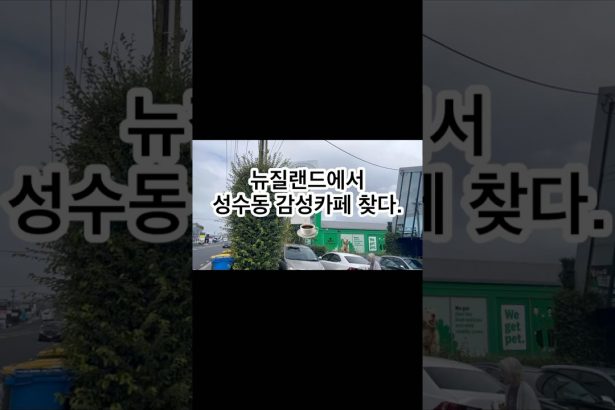 1745391848 maxresdefault infoshare - nz immigration news / 뉴질랜드 이민정보
