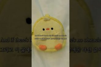 1745401027 maxresdefault infoshare - nz immigration news / 뉴질랜드 이민정보