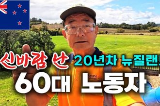 1745491867 maxresdefault infoshare - nz immigration news / 뉴질랜드 이민정보