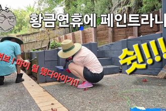 1745581567 maxresdefault infoshare - nz immigration news / 뉴질랜드 이민정보