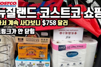 1745829066 maxresdefault infoshare - nz immigration news / 뉴질랜드 이민정보