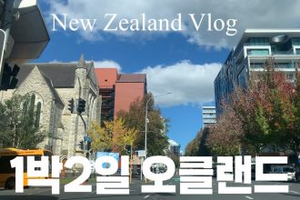 1747033989 maxresdefault infoshare - nz immigration news / 뉴질랜드 이민정보