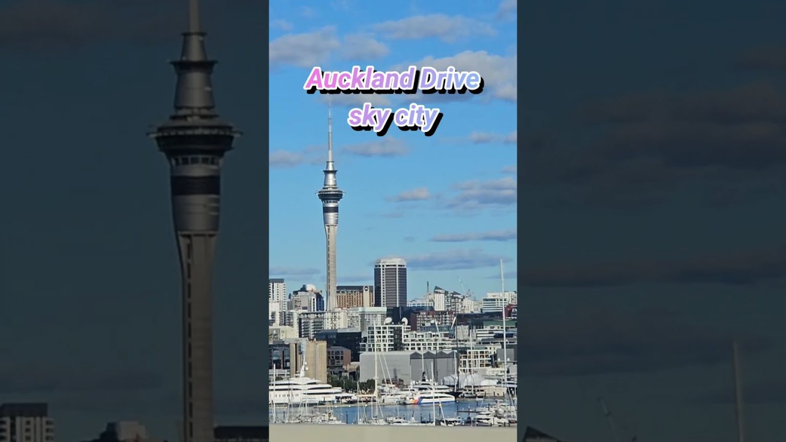 1747037289 maxresdefault infoshare - nz immigration news / 뉴질랜드 이민정보