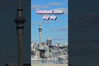 1747037289 maxresdefault infoshare - nz immigration news / 뉴질랜드 이민정보