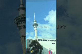 1747129689 maxresdefault infoshare - nz immigration news / 뉴질랜드 이민정보