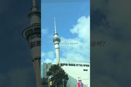 1747129689 maxresdefault infoshare - nz immigration news / 뉴질랜드 이민정보
