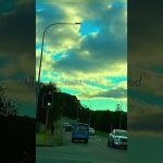 1747130349 maxresdefault infoshare - nz immigration news / 뉴질랜드 이민정보