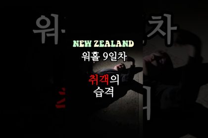 1747138569 maxresdefault infoshare - nz immigration news / 뉴질랜드 이민정보