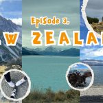 1747217889 maxresdefault infoshare - nz immigration news / 뉴질랜드 이민정보