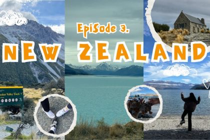 1747217889 maxresdefault infoshare - nz immigration news / 뉴질랜드 이민정보