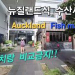 1747467127 maxresdefault infoshare - nz immigration news / 뉴질랜드 이민정보