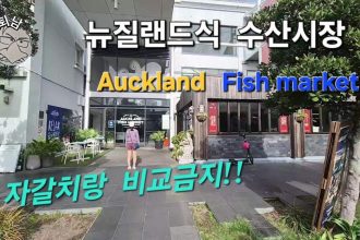 1747467127 maxresdefault infoshare - nz immigration news / 뉴질랜드 이민정보