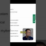 1747560968 maxresdefault infoshare - nz immigration news / 뉴질랜드 이민정보