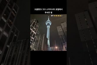 1747810815 maxresdefault infoshare - nz immigration news / 뉴질랜드 이민정보