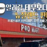 1747821669 maxresdefault infoshare - nz immigration news / 뉴질랜드 이민정보