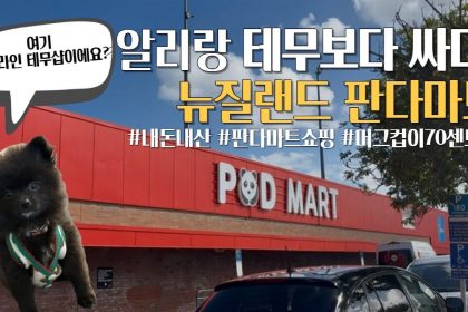 1747821669 maxresdefault infoshare - nz immigration news / 뉴질랜드 이민정보