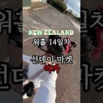 1747822330 maxresdefault infoshare - nz immigration news / 뉴질랜드 이민정보