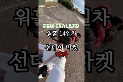 1747822330 maxresdefault infoshare - nz immigration news / 뉴질랜드 이민정보