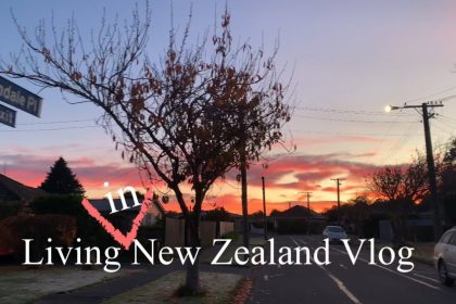 1748257449 maxresdefault infoshare - nz immigration news / 뉴질랜드 이민정보