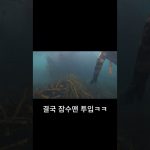 1748510109 maxresdefault infoshare - nz immigration news / 뉴질랜드 이민정보