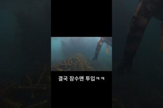1748510109 maxresdefault infoshare - nz immigration news / 뉴질랜드 이민정보