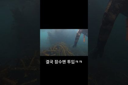 1748510109 maxresdefault infoshare - nz immigration news / 뉴질랜드 이민정보