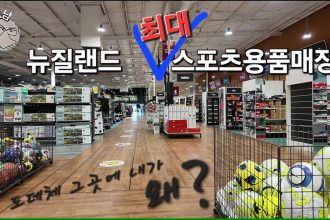 1748597169 maxresdefault infoshare - nz immigration news / 뉴질랜드 이민정보