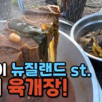 1748769128 maxresdefault infoshare - nz immigration news / 뉴질랜드 이민정보