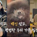 1748779989 maxresdefault infoshare - nz immigration news / 뉴질랜드 이민정보