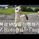 1748848029 hqdefault infoshare - nz immigration news / 뉴질랜드 이민정보