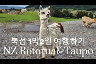 1748848029 hqdefault infoshare - nz immigration news / 뉴질랜드 이민정보