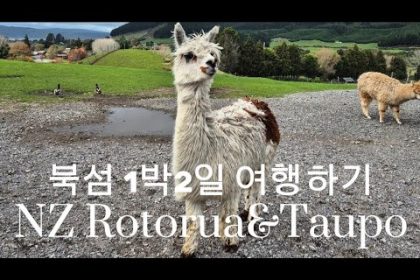 1748848029 hqdefault infoshare - nz immigration news / 뉴질랜드 이민정보
