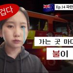 1748857930 maxresdefault infoshare - nz immigration news / 뉴질랜드 이민정보