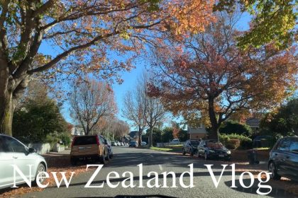 1748859188 maxresdefault infoshare - nz immigration news / 뉴질랜드 이민정보