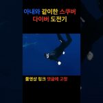 1749029830 maxresdefault infoshare - nz immigration news / 뉴질랜드 이민정보
