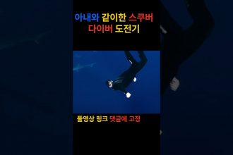 1749029830 maxresdefault infoshare - nz immigration news / 뉴질랜드 이민정보