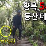 1749040029 maxresdefault infoshare - nz immigration news / 뉴질랜드 이민정보