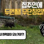 1749721868 maxresdefault infoshare - nz immigration news / 뉴질랜드 이민정보