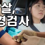 1749896708 maxresdefault infoshare - nz immigration news / 뉴질랜드 이민정보