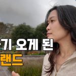 1750019586 maxresdefault infoshare - nz immigration news / 뉴질랜드 이민정보