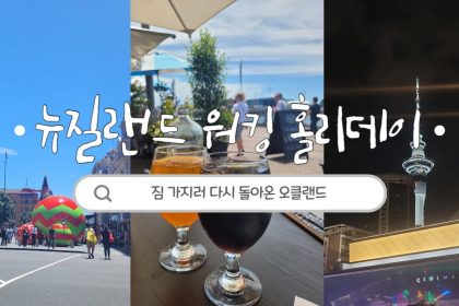 1750316470 maxresdefault infoshare - nz immigration news / 뉴질랜드 이민정보