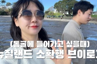 1750326428 maxresdefault infoshare - nz immigration news / 뉴질랜드 이민정보