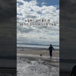 1750410246 maxresdefault infoshare - nz immigration news / 뉴질랜드 이민정보