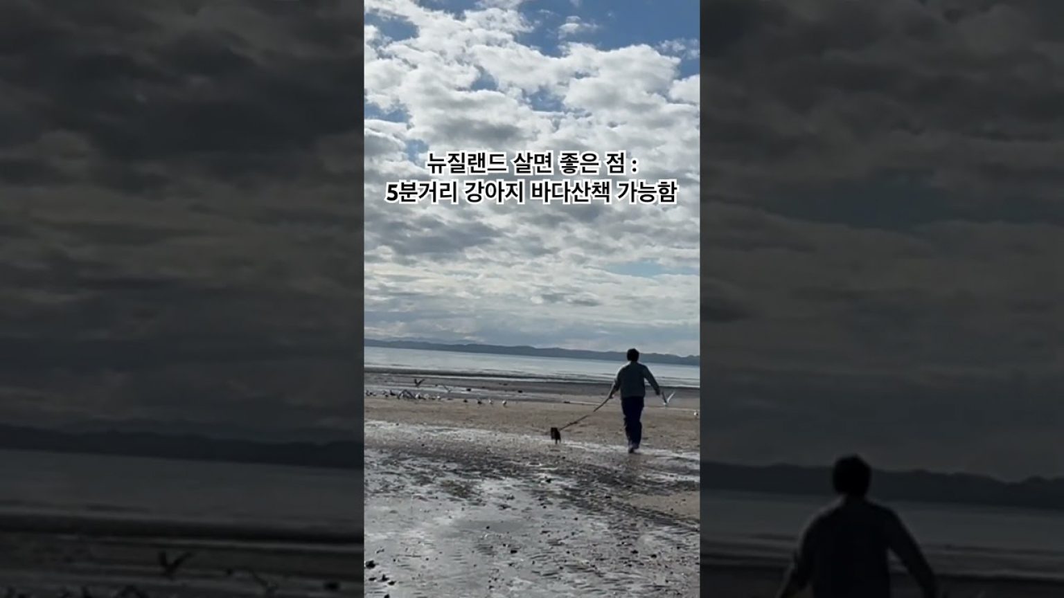 1750410246 maxresdefault infoshare - nz immigration news / 뉴질랜드 이민정보