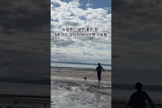 1750410246 maxresdefault infoshare - nz immigration news / 뉴질랜드 이민정보