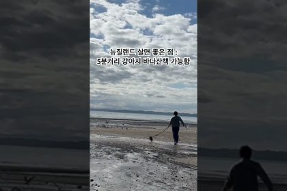 1750410246 maxresdefault infoshare - nz immigration news / 뉴질랜드 이민정보