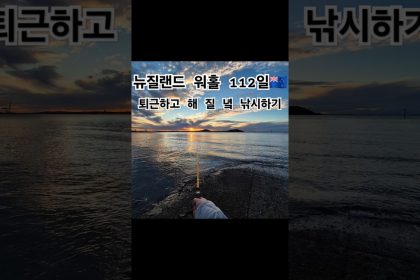 1750412948 maxresdefault infoshare - nz immigration news / 뉴질랜드 이민정보