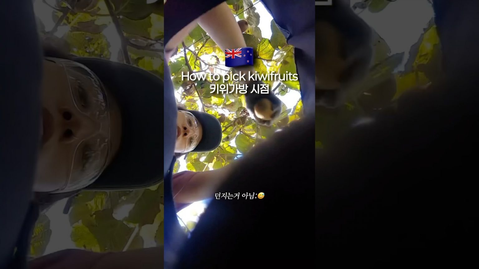 1750584488 maxresdefault infoshare - nz immigration news / 뉴질랜드 이민정보
