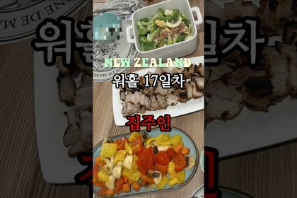 1750670348 maxresdefault infoshare - nz immigration news / 뉴질랜드 이민정보
