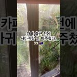 1750930327 maxresdefault infoshare - nz immigration news / 뉴질랜드 이민정보